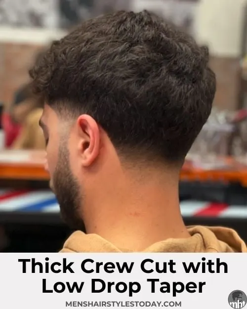 Thick Crew Cut with Low Drop Taper