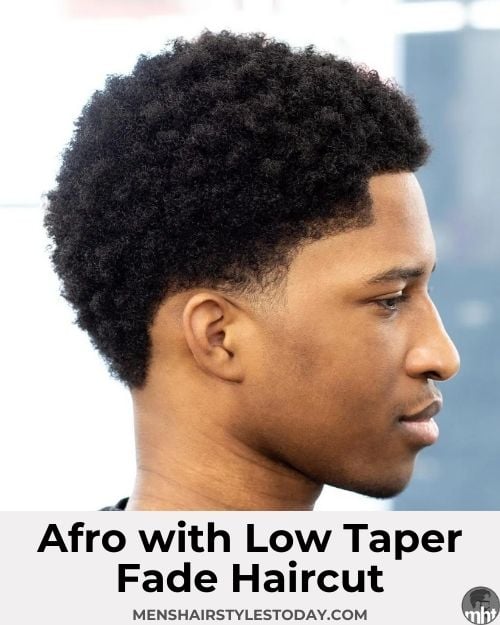 Afro with Low Taper Fade